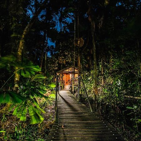 Daintree Wilderness alojamiento Exterior foto