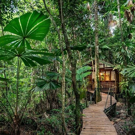 Daintree Wilderness alojamiento Exterior foto
