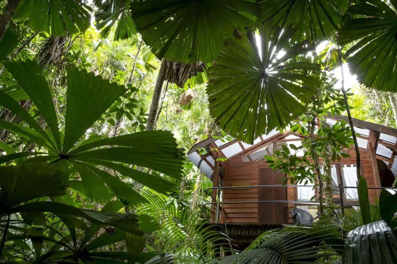 Daintree Wilderness alojamiento Exterior foto