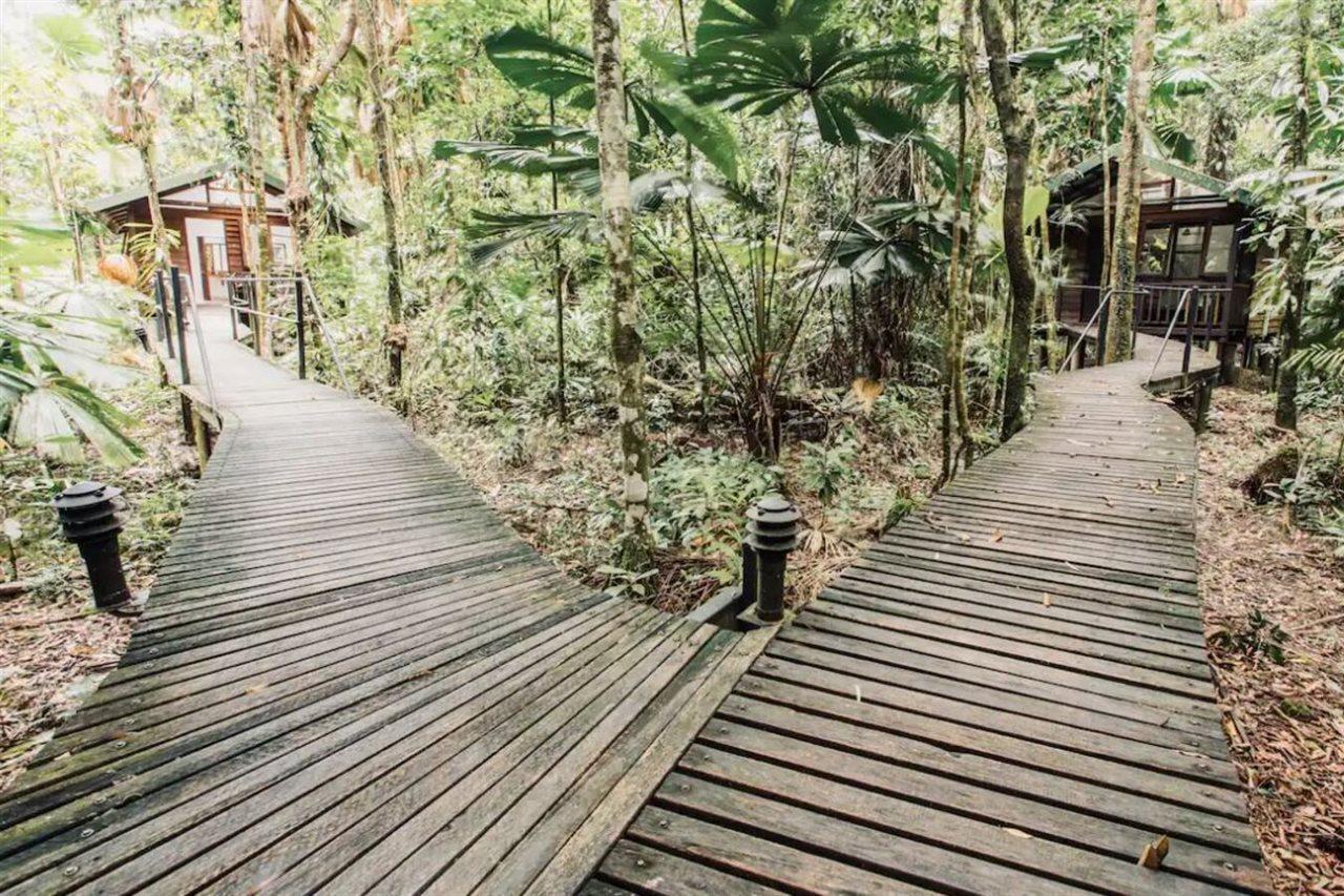 Daintree Wilderness alojamiento Exterior foto