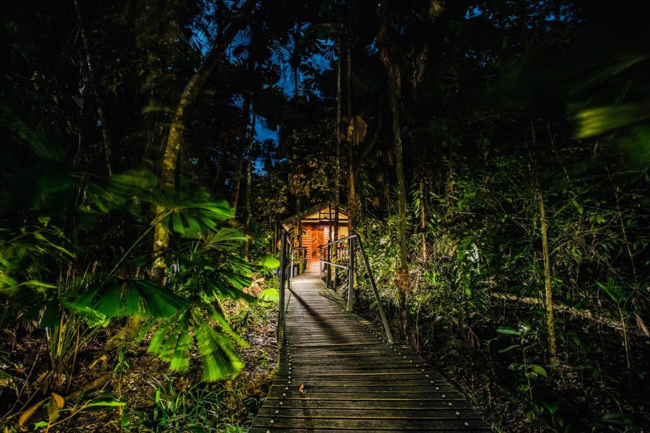 Daintree Wilderness alojamiento Exterior foto