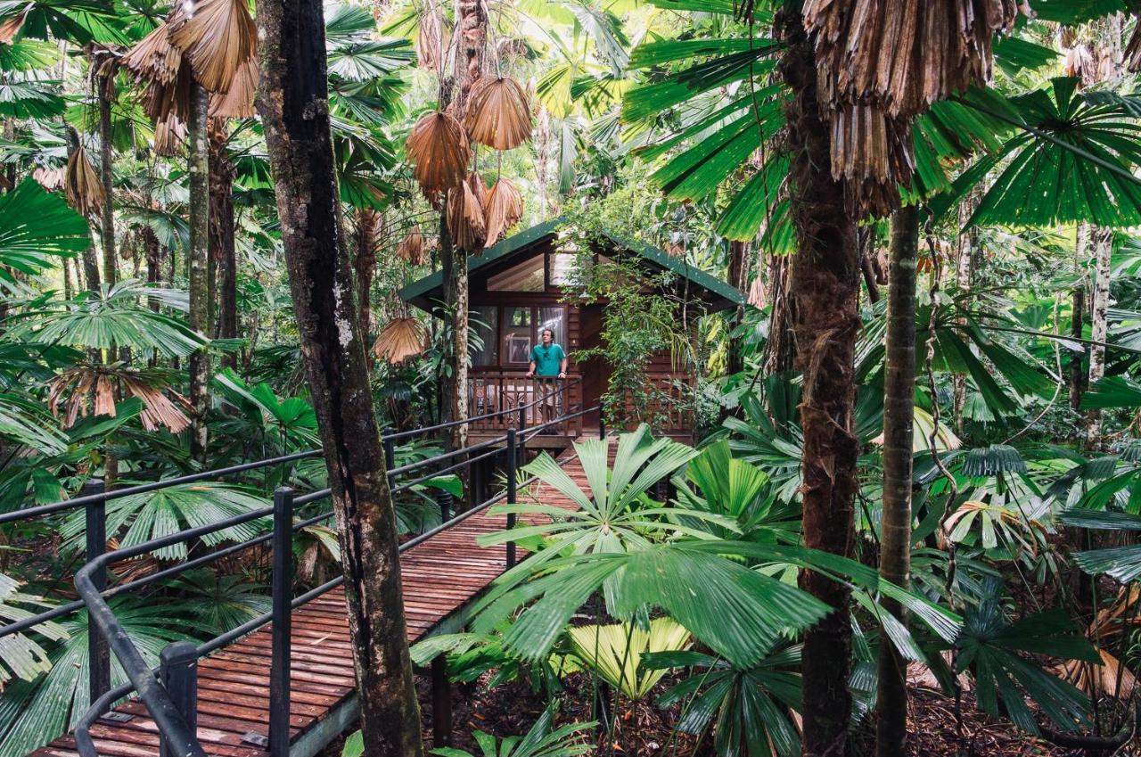 Daintree Wilderness alojamiento Exterior foto