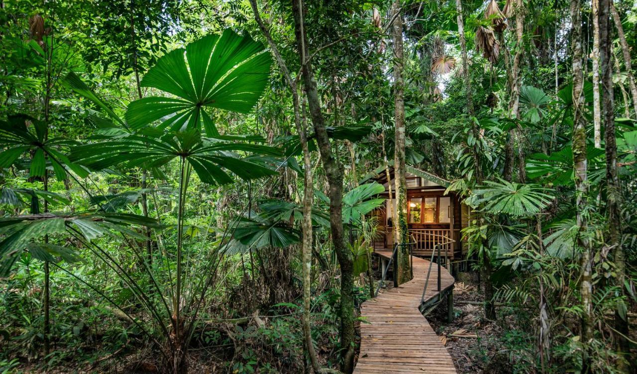 Daintree Wilderness alojamiento Exterior foto