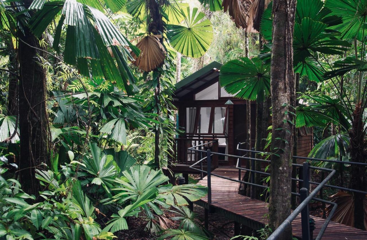 Daintree Wilderness alojamiento Exterior foto
