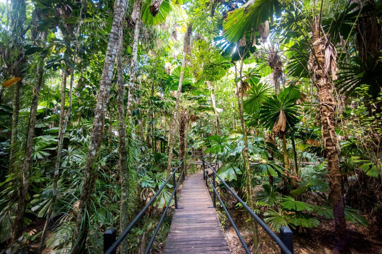 Daintree Wilderness alojamiento Exterior foto