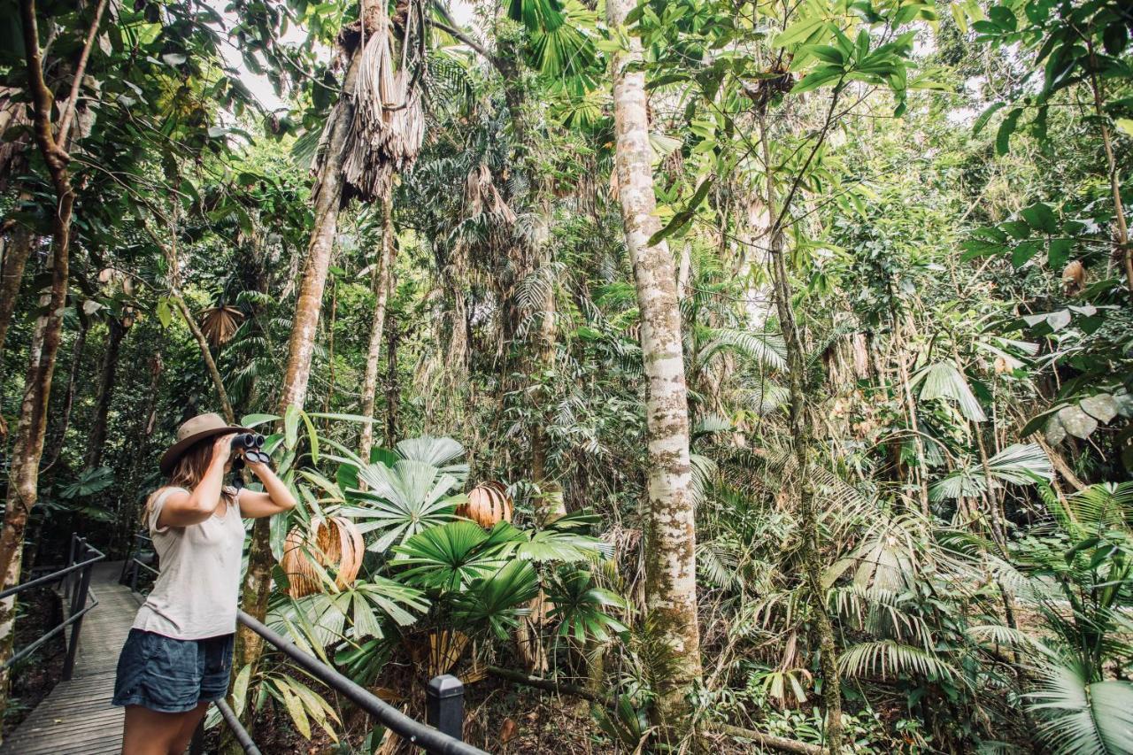 Daintree Wilderness alojamiento Exterior foto