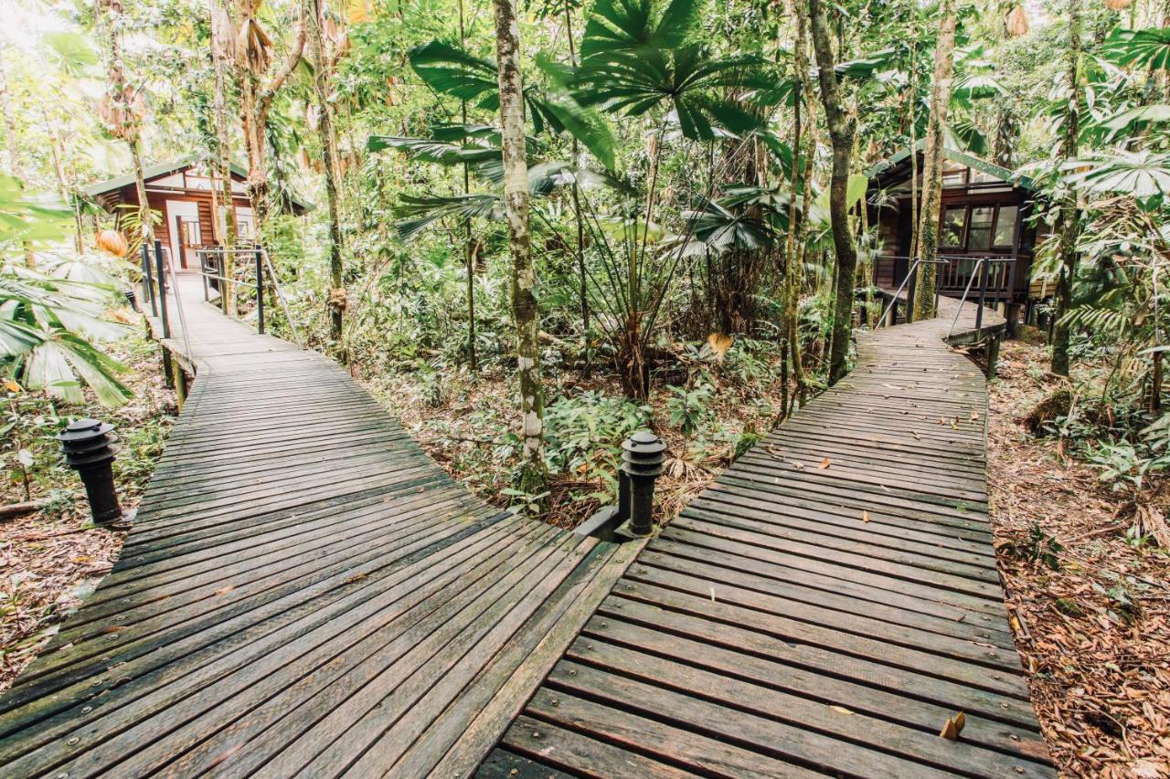Daintree Wilderness alojamiento Exterior foto