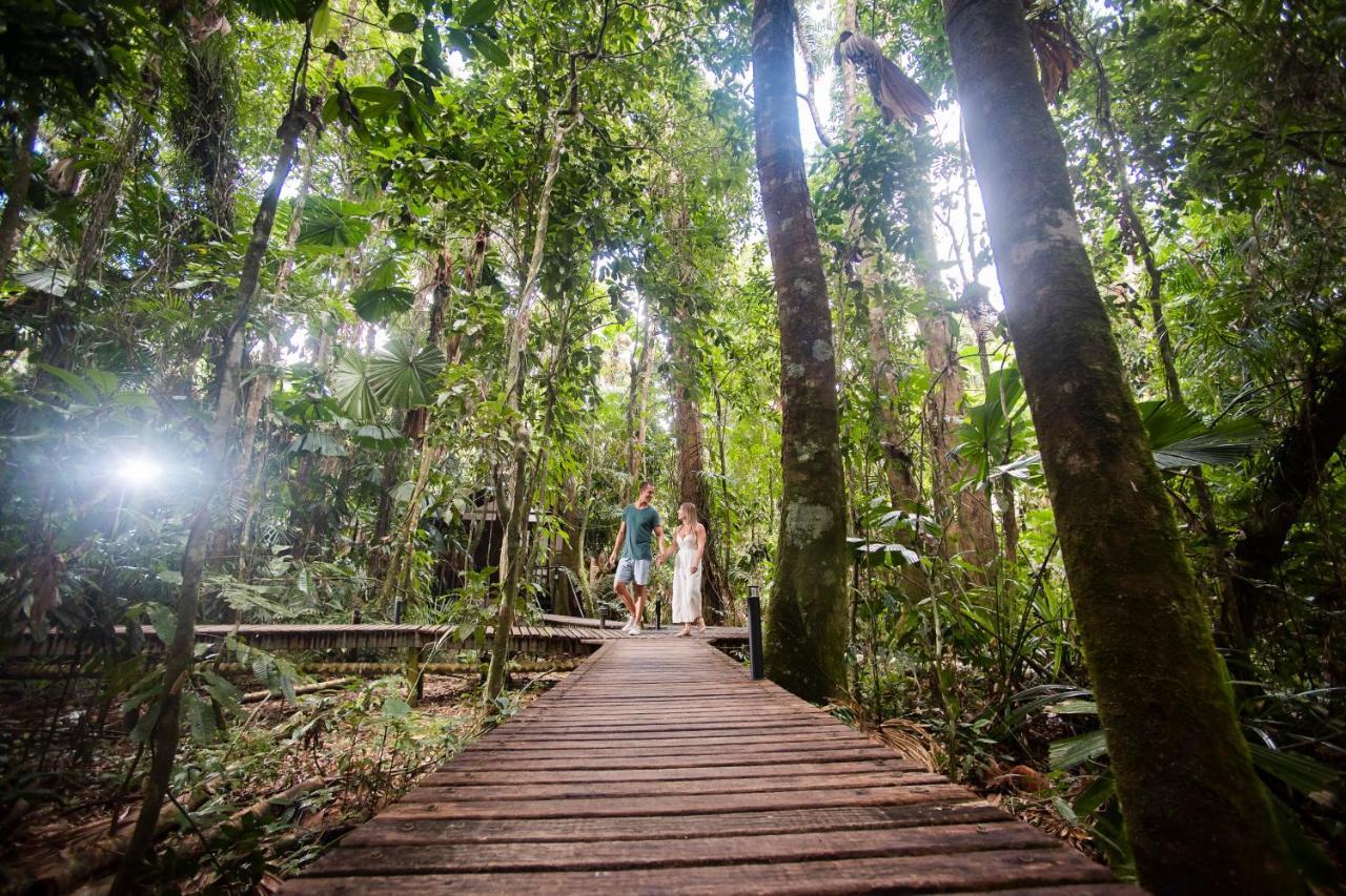 Daintree Wilderness alojamiento Exterior foto