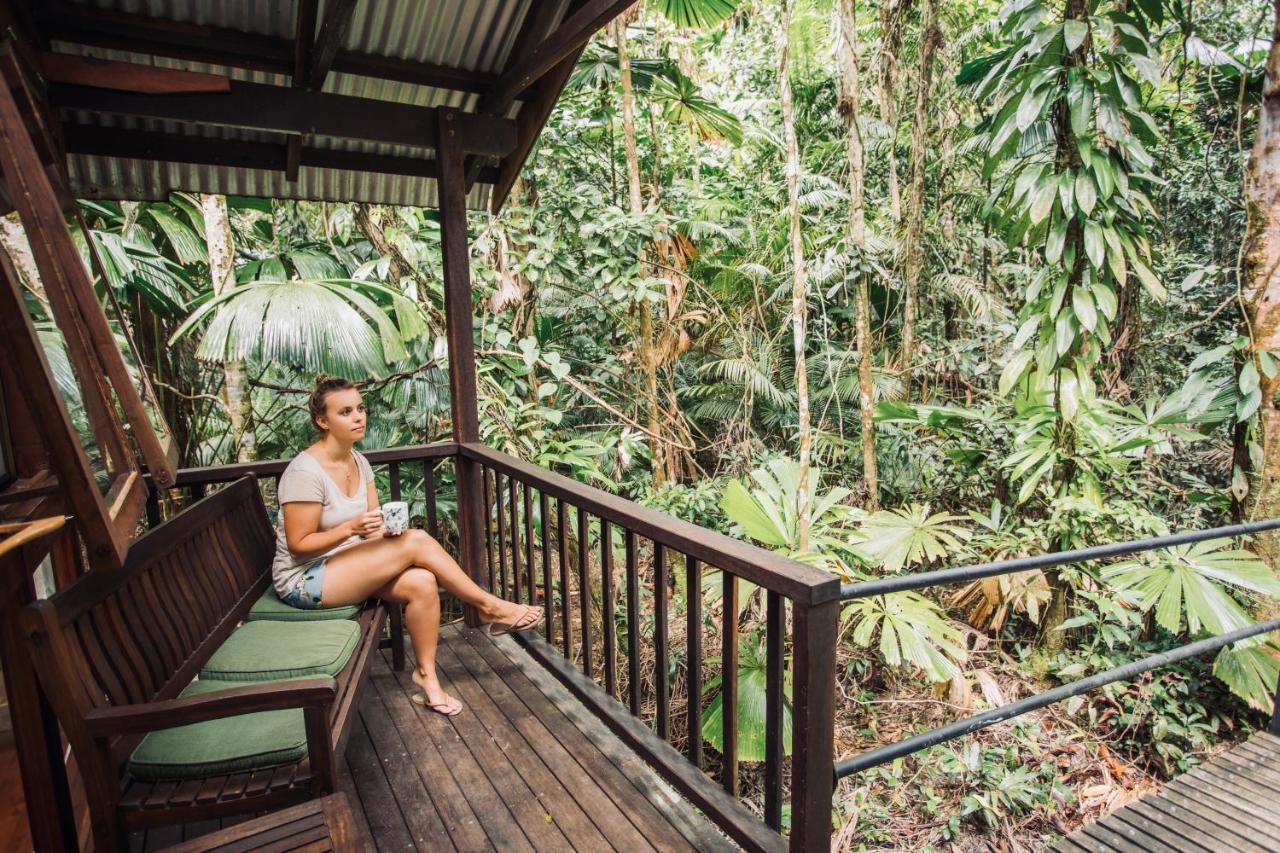 Daintree Wilderness alojamiento Exterior foto