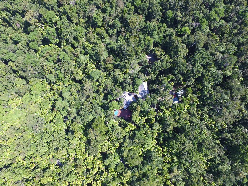 Daintree Wilderness alojamiento Exterior foto