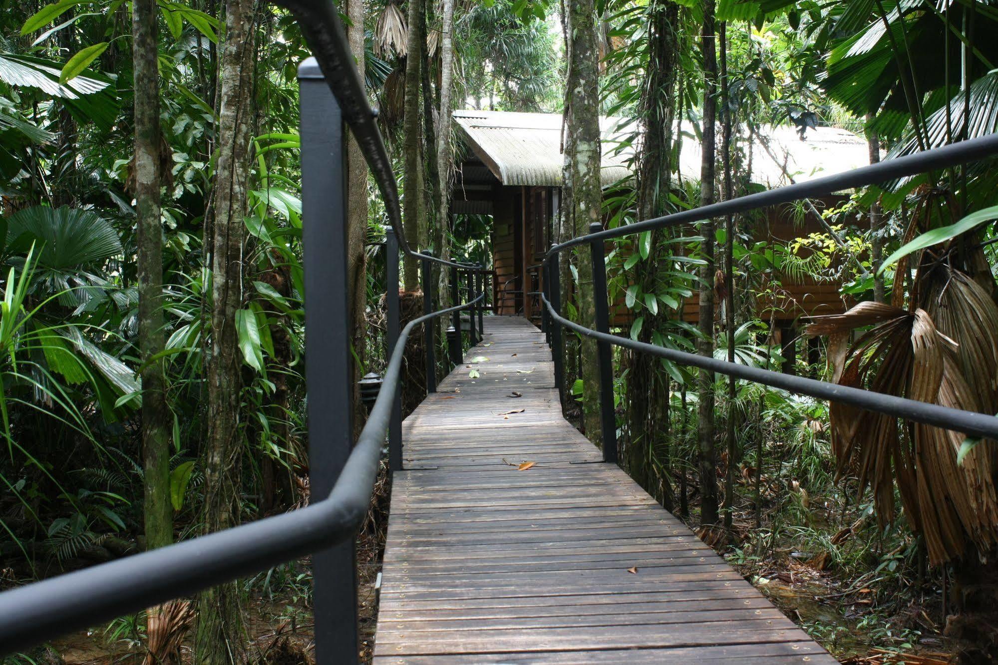 Daintree Wilderness alojamiento Exterior foto