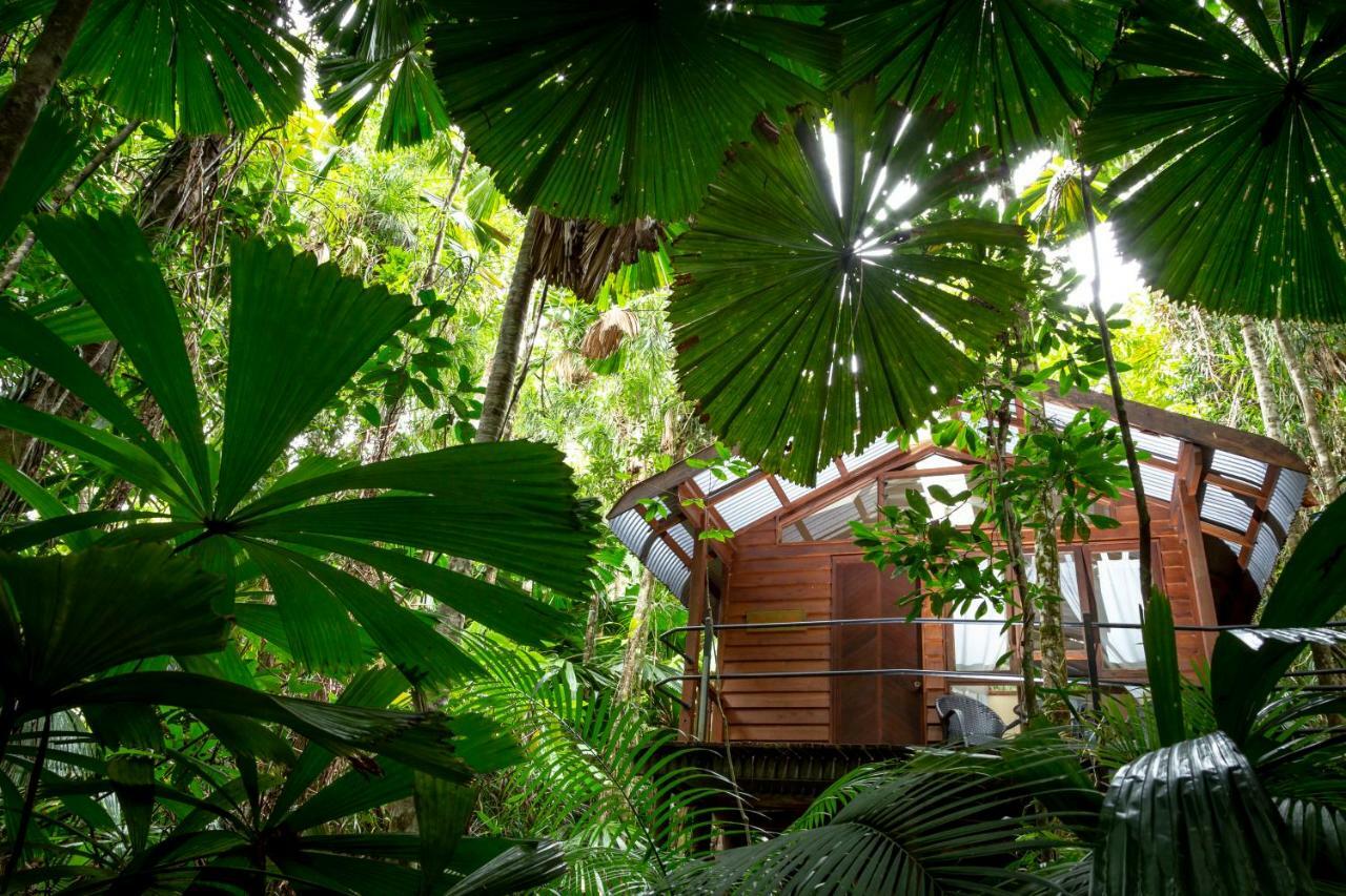 Daintree Wilderness alojamiento Exterior foto